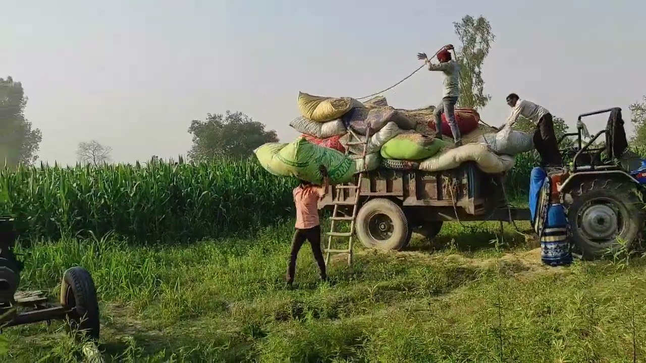 How Do Poor Laborers Live Their Lives In UP India &para; How Do Poor People Live In Water &para; #Rura