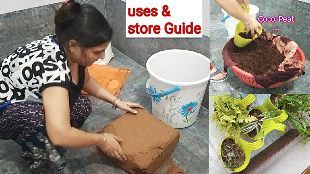 How to prepare Cocopeat for plants/Use & Store soaked wet coco-peat/पौधो की गीली कोकोपीट सालों रखें