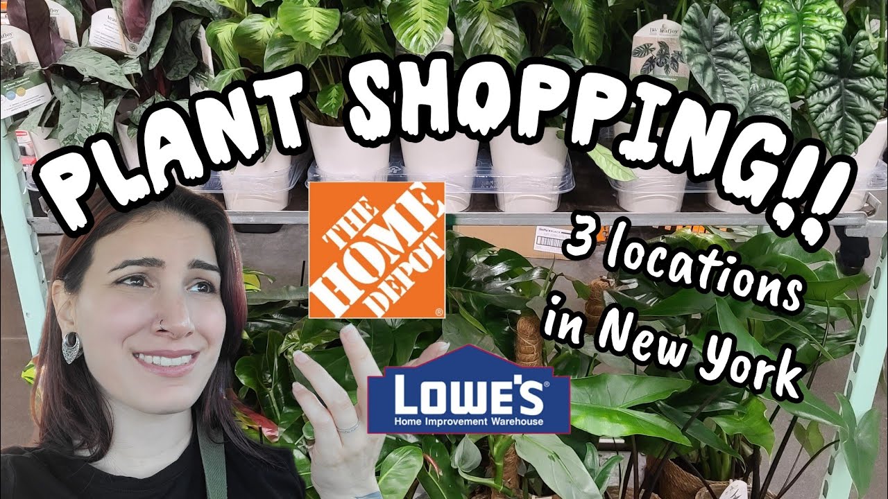 Big Box Plant Shopping at 3 Different Locations! 🌿 Home Depot & Lowe's in Westchester, NY 🖤✨️
