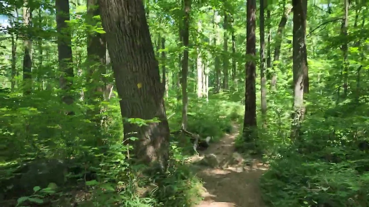 Sourland Mountain NJ hike 4k