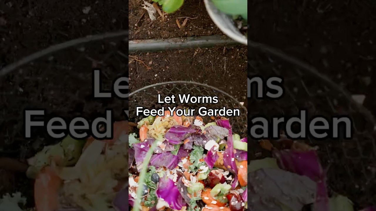 Feed Your Soil Without Fertilizer