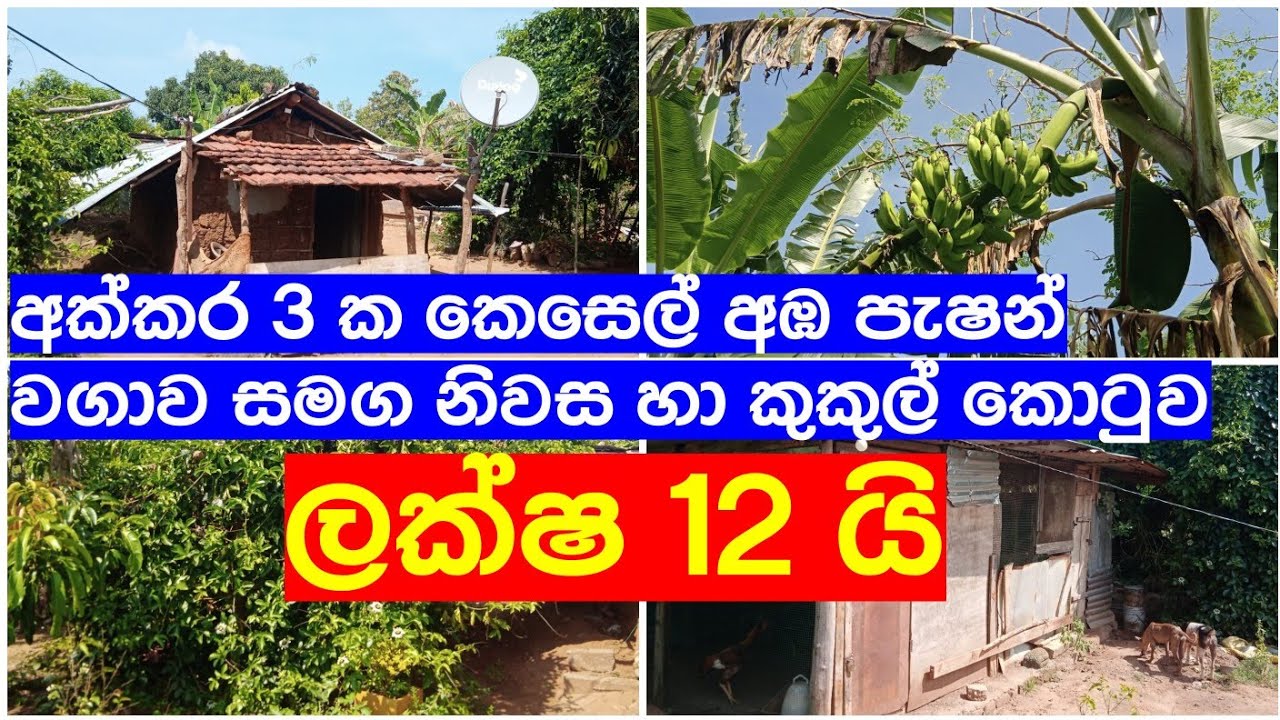 ලක්ෂ 12යි අක්කර 3යි නිවස හා කුකුල් කොටුව  House For Sale | aduwata gewal | aduwata idam | Idam Kadam