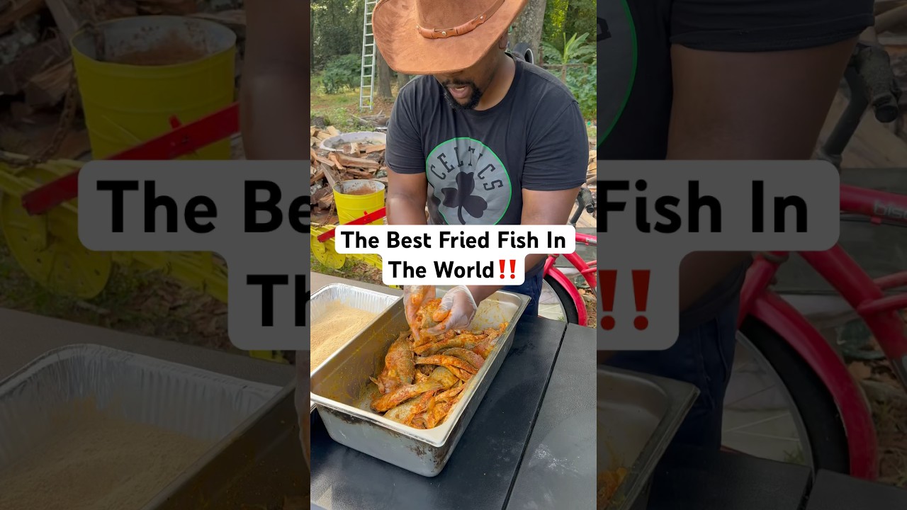 The best fried fish‼️‼️ #foodblogger #food #explore #foryou #fyp #foryourpage #explorepage #fypage
