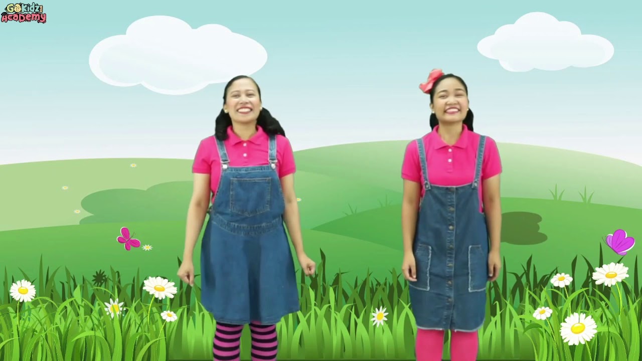 Subtraction Song | Preschool Lessons | Simple Math Lessons | Fun Learning