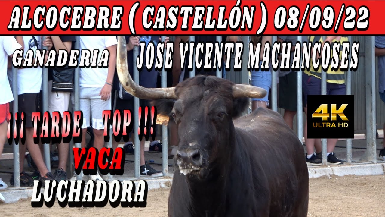 ALCOCEBRE 08/09/22 JOSE VTE MACHANCOSES
