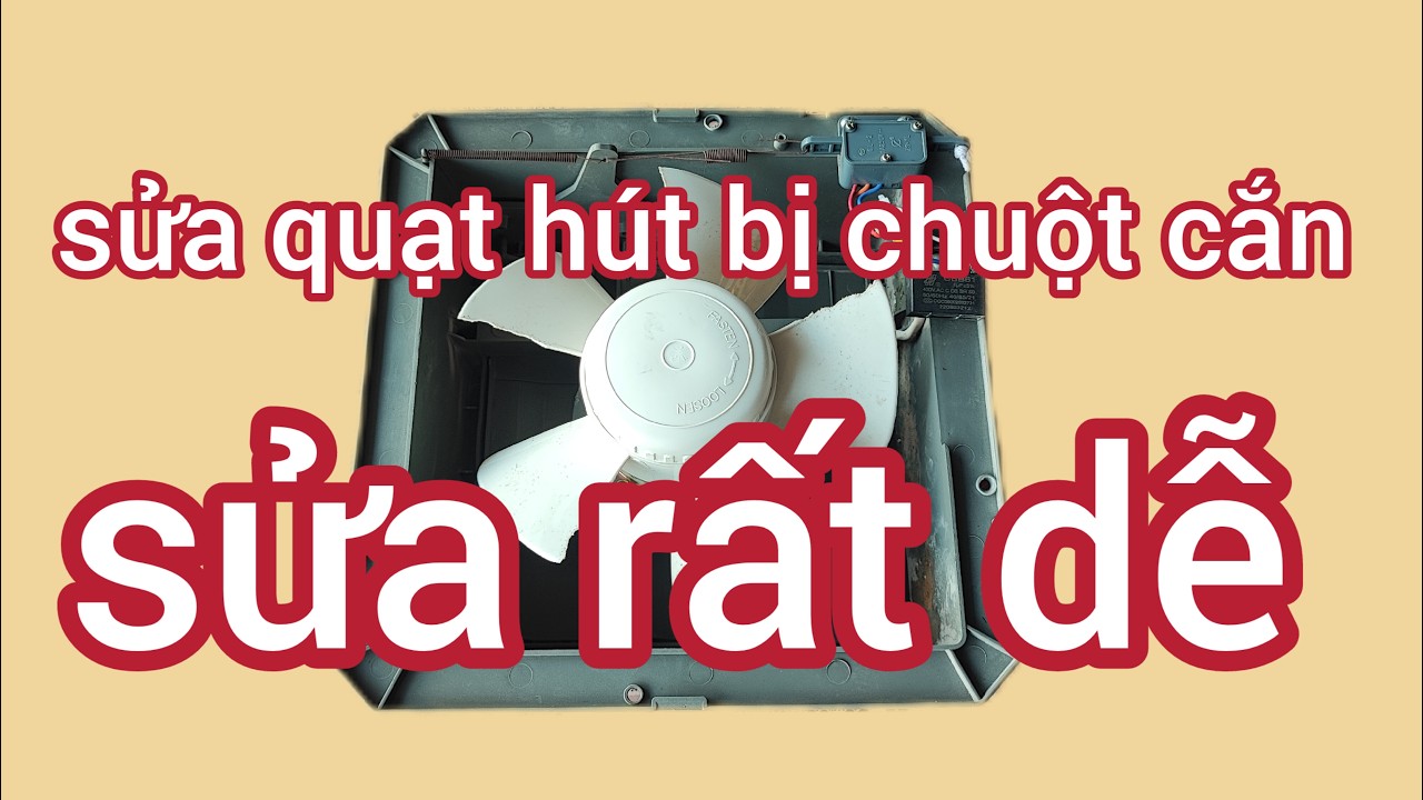 sửa quạt hút bị chuột cắn