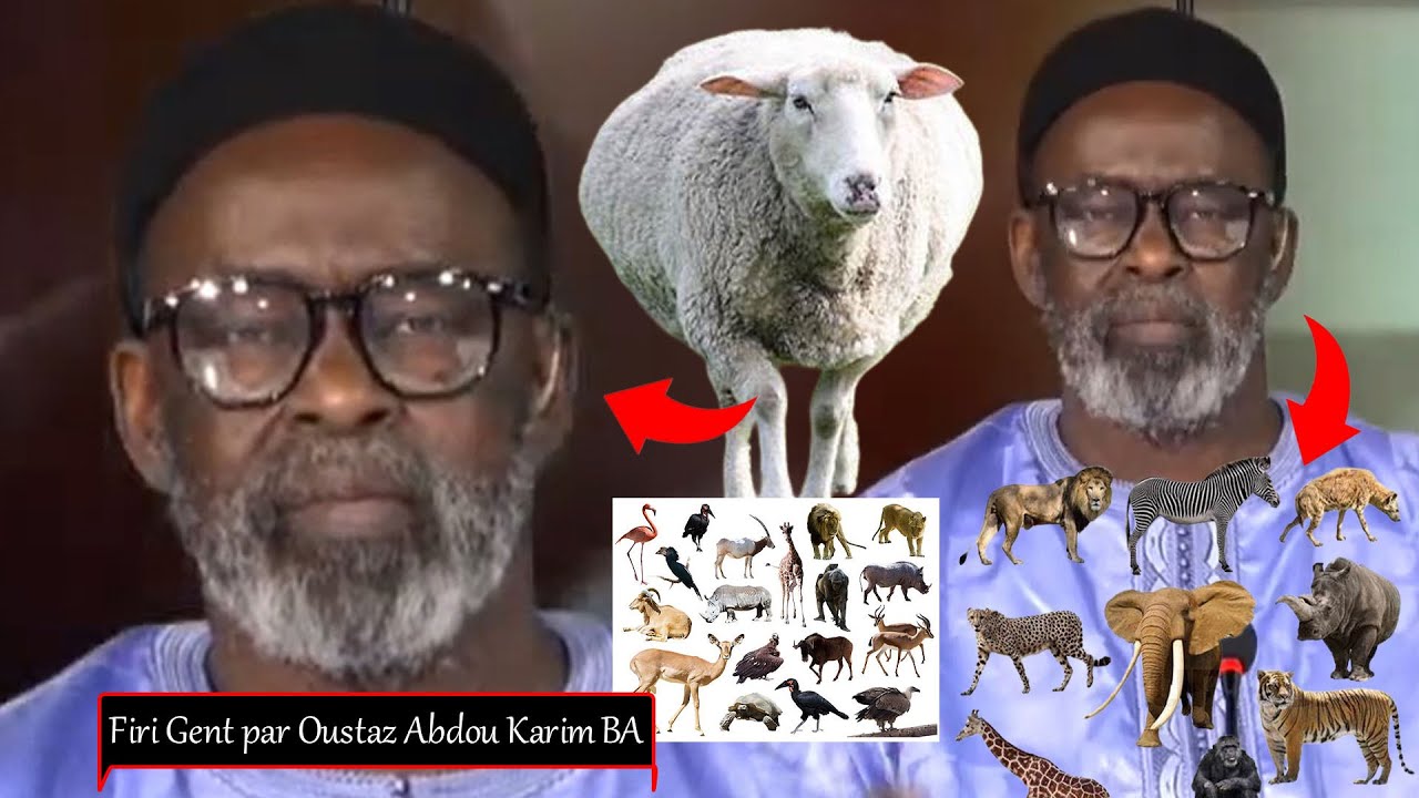 SPÉCIAL FIRI ”GENT OUSTAZ ABDOU KARIM BA TFM🦁🐍KOU GENTE GUIS AUTO GENT DJINNE GENT AVION.......