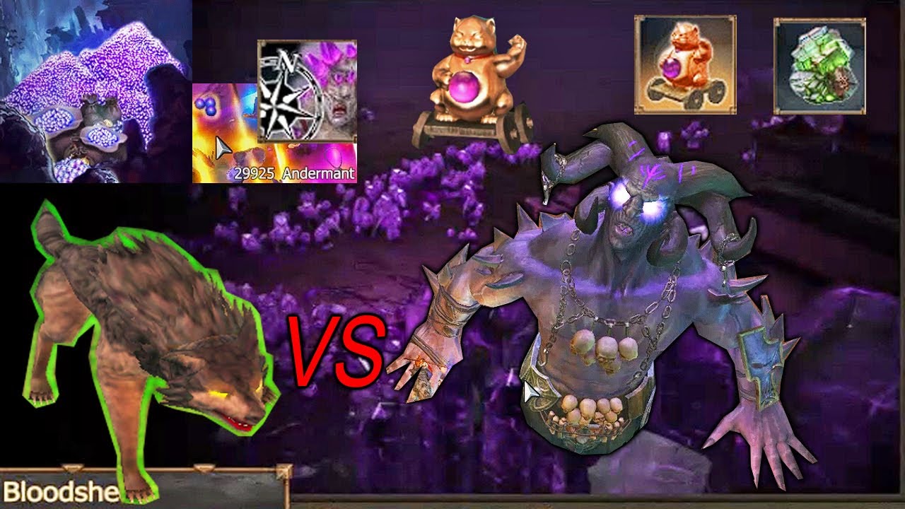 114K Andermant Farm Challenge in A Day, One Wolf vs Sargon, Lucky Pet || Dark Legacy Ranger #46