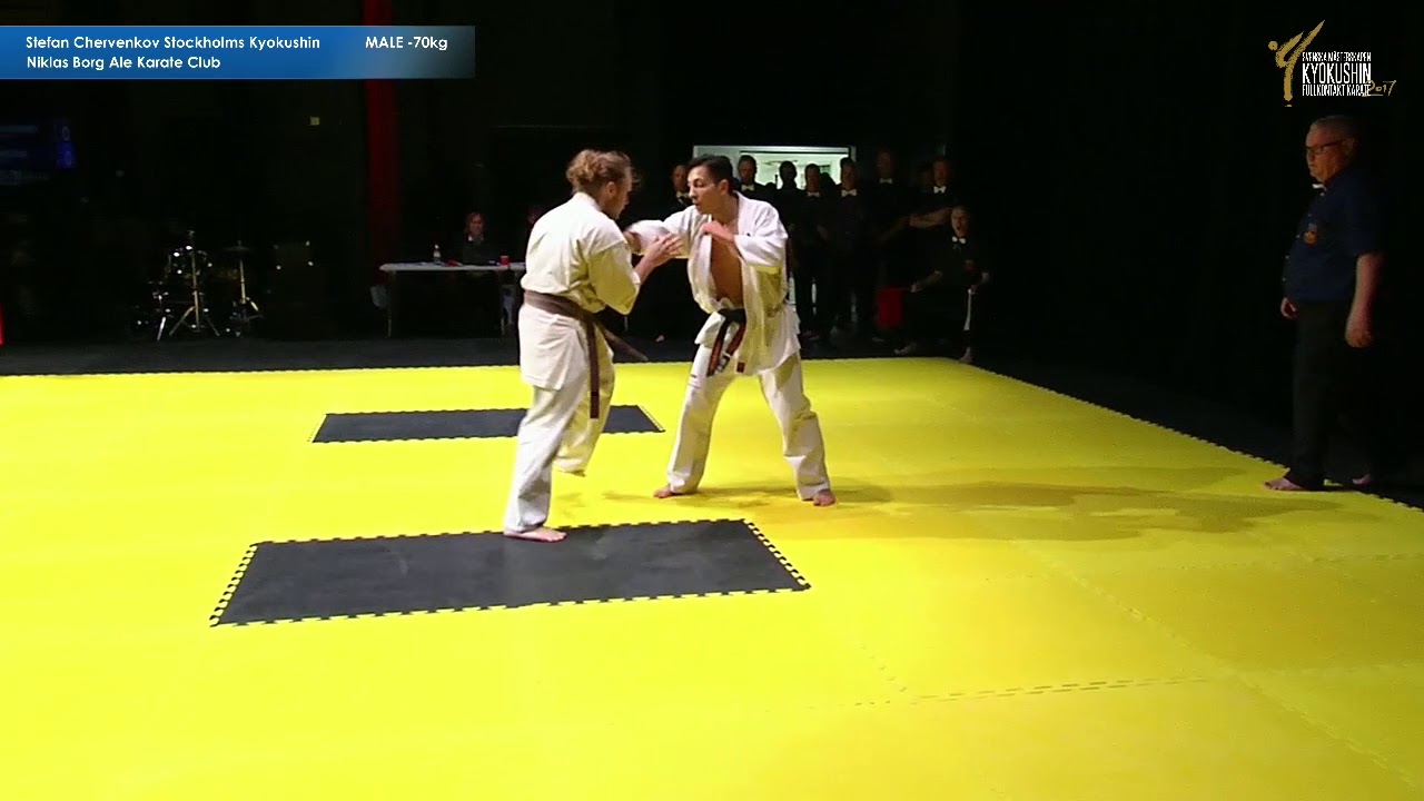 Stefan Chervenkov vs Niklas Borg