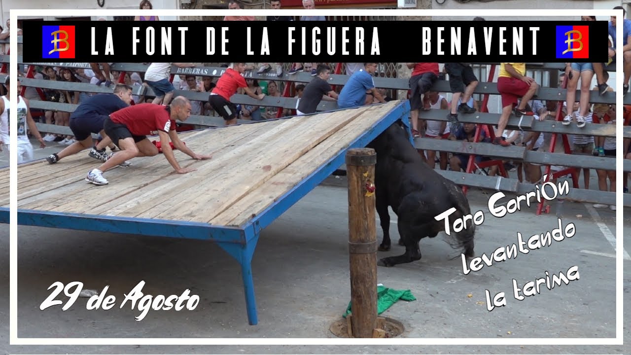 🅱 La Font de la Figuera ▪29 ▪ 08 ▪ 22▪ Ganadería Benavent 🅱