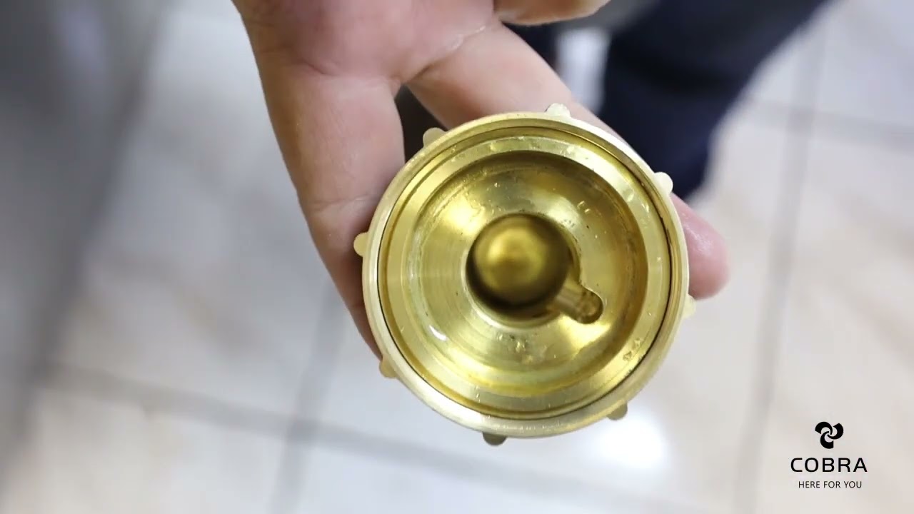Cobra Geyser Pressure Control Valve Leaking Troubleshooting