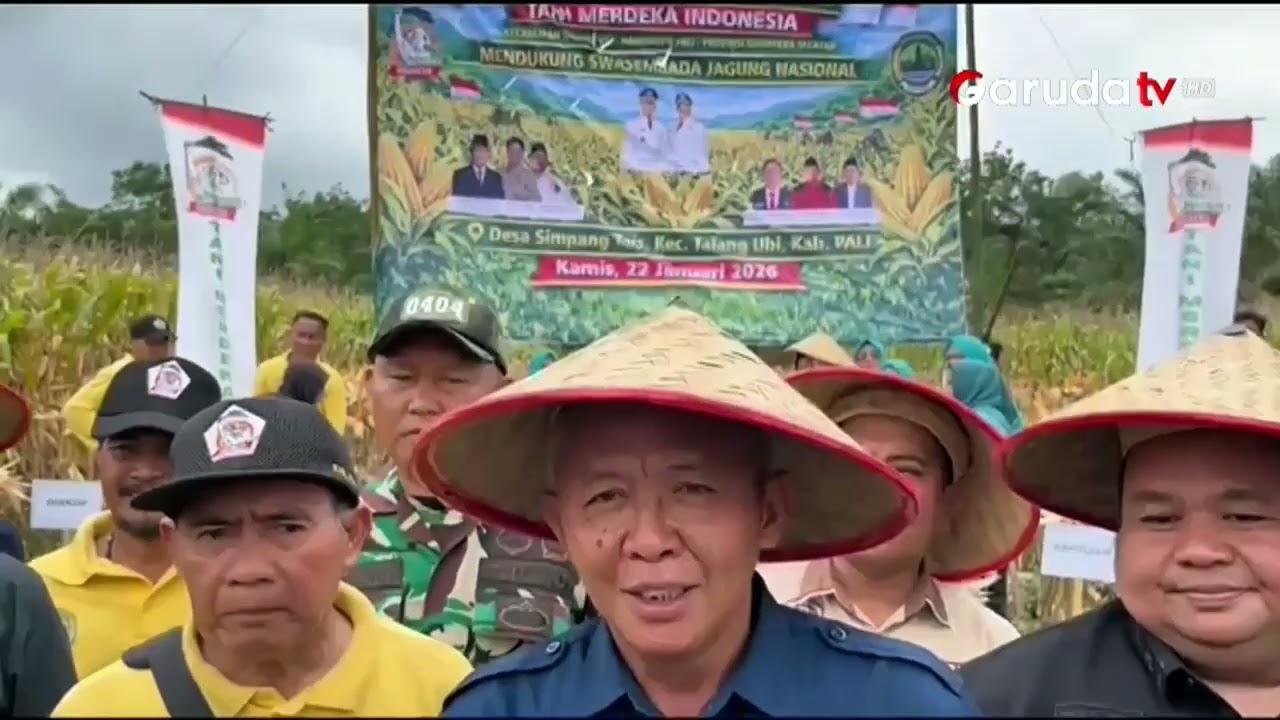 Tani Merdeka dan Pemkab PALI Gelar Panen Jagung Bersama di  Simpang Tais