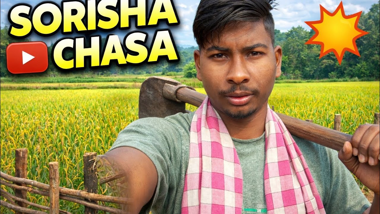 ଗାଁ ରେ  ସରିଷ ଚାଷ 😊