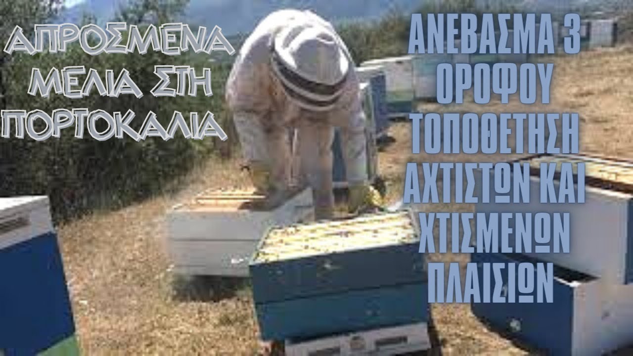 Απρόσμενα μέλια στην πορτοκαλιά ανέβασμα 3 ορόφου και τοποθέτηση άχτιστων και χτισμένων πλαισίων