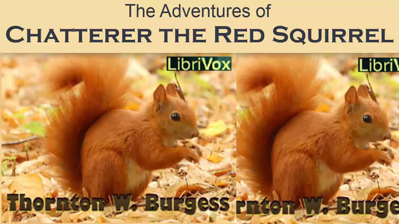 The Adventures of Chatterer the Red Squirrel by Thornton W. Burgess | Audiobooks Youtube Free