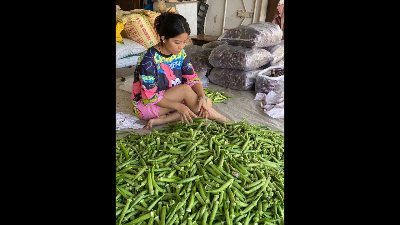 Msgreg is live! Okra!