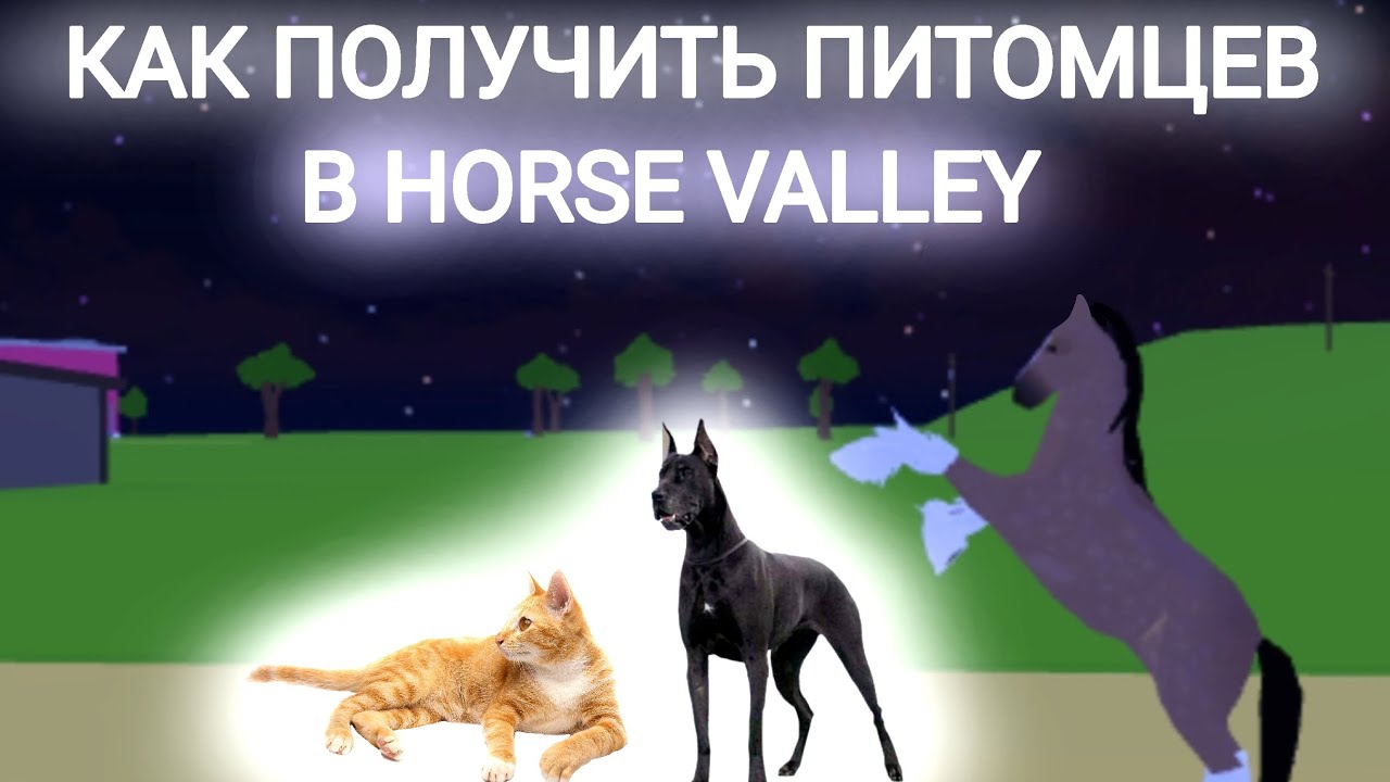 Как получить питомца в Horse valley