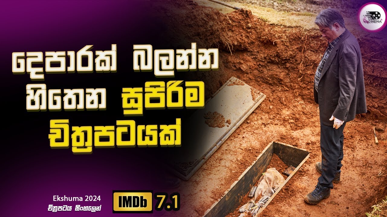 2024 අලුත් එකක් 😱 දෙපාරක් බලන්න හිතෙන සුපිරිම චිත්‍රපටයක් Explanation in Sinhala | Movie Review