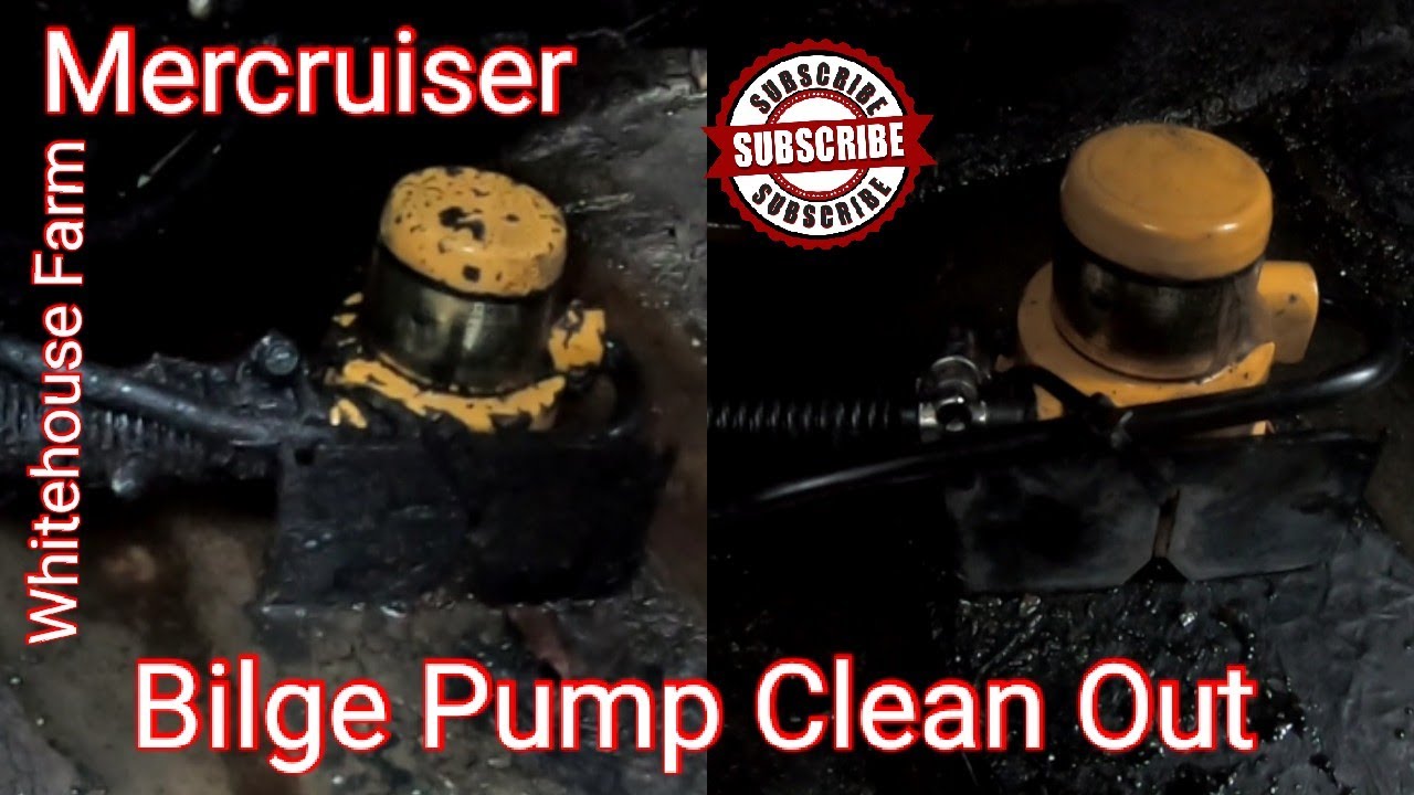 Boat Bilge Pump Clean Out!