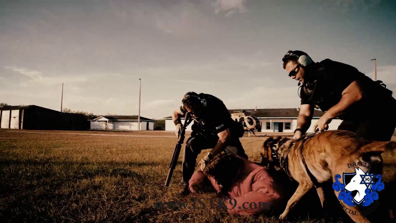 The best K9 tactical training, IST K9, SWAT,  Israel,  Navy SEAL K9 Demo