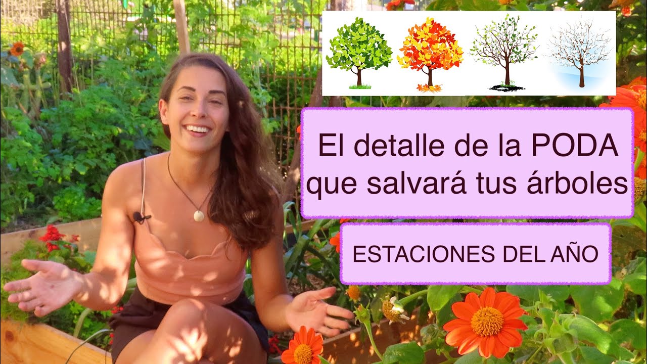 ¿Cuando PODAR? Comprenda cual es la MEJOR ESTACIÓN DEL AÑO