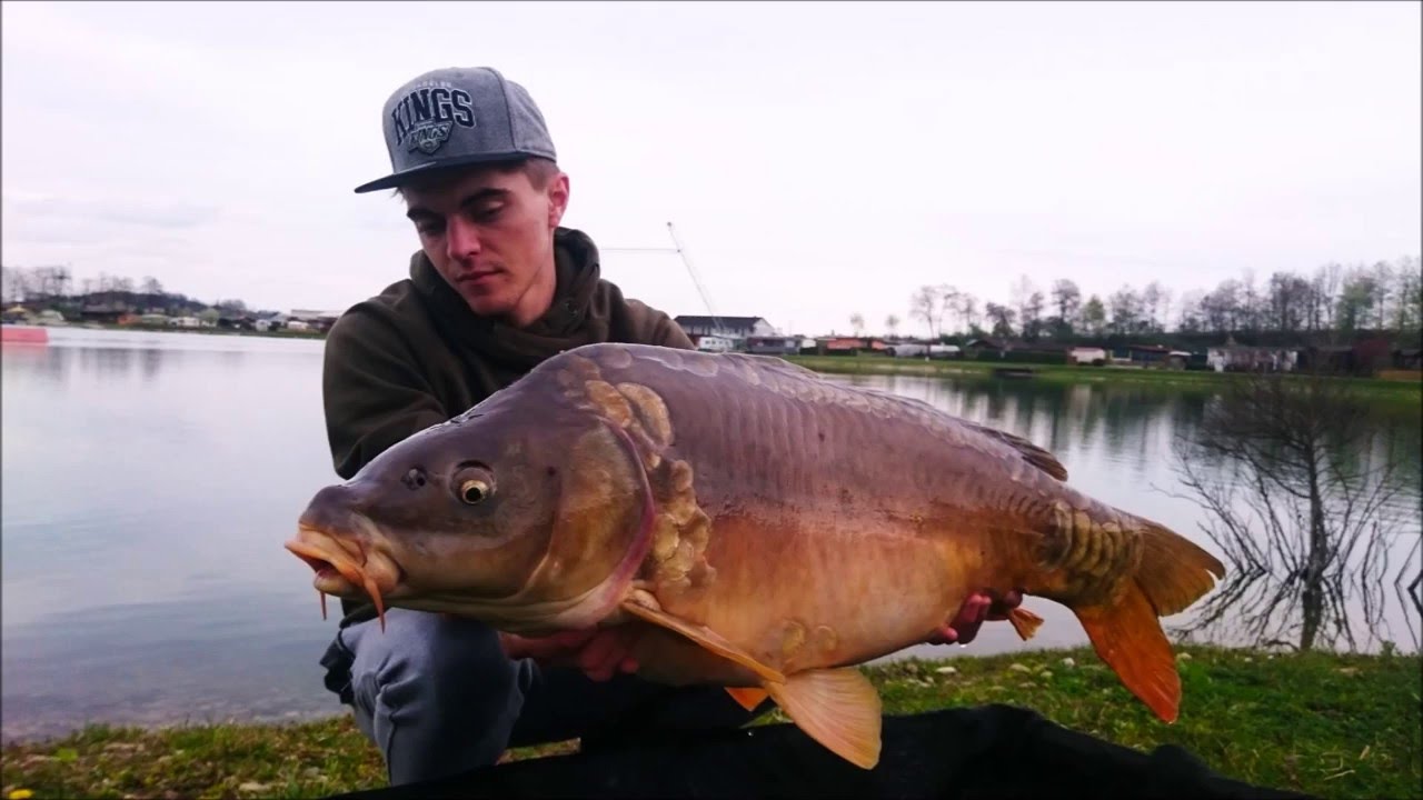 CARP vs. GRASS-CARP - Carpfishing Extreme #GoProHERO4