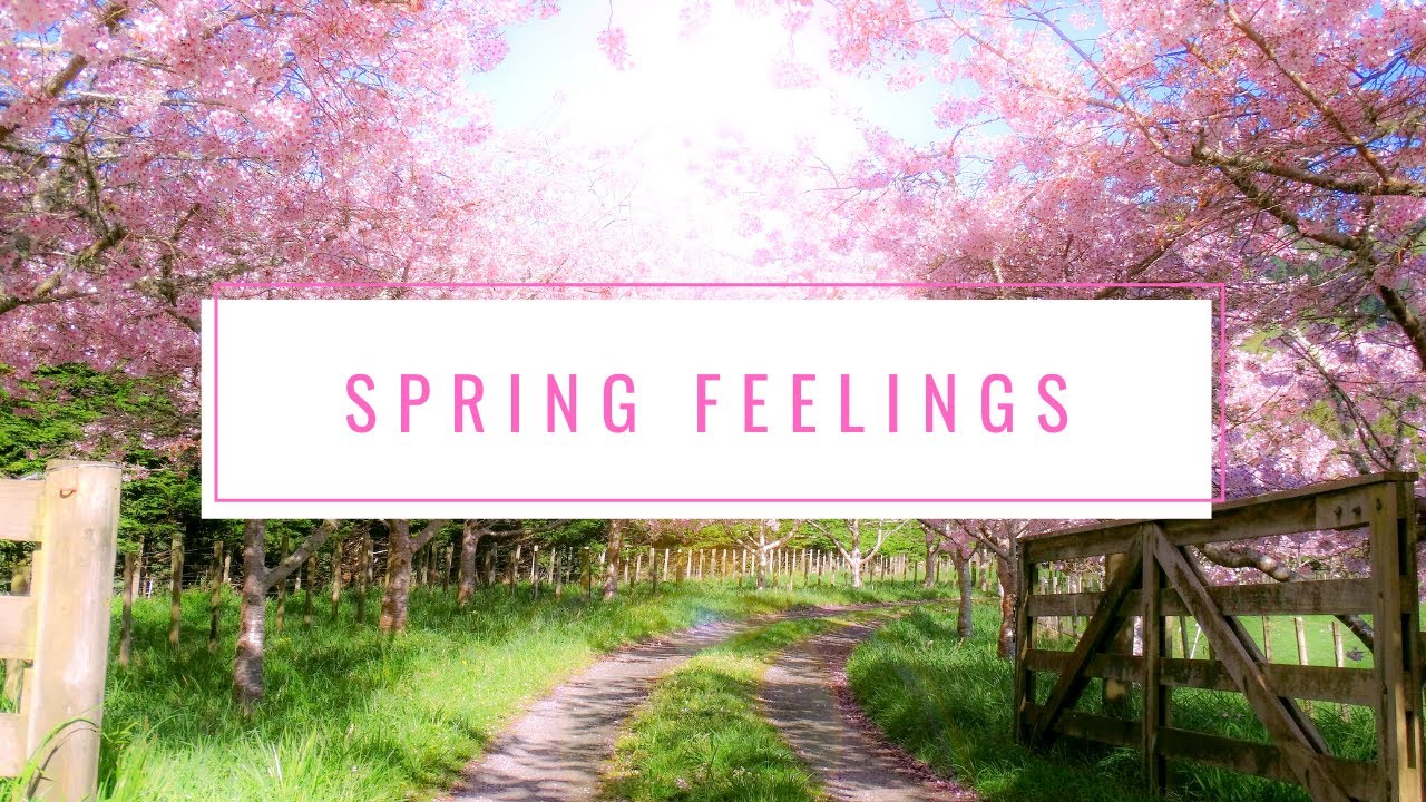 SPRING FEELINGS | Music for Spring | Songs about Spring | Top Compilation