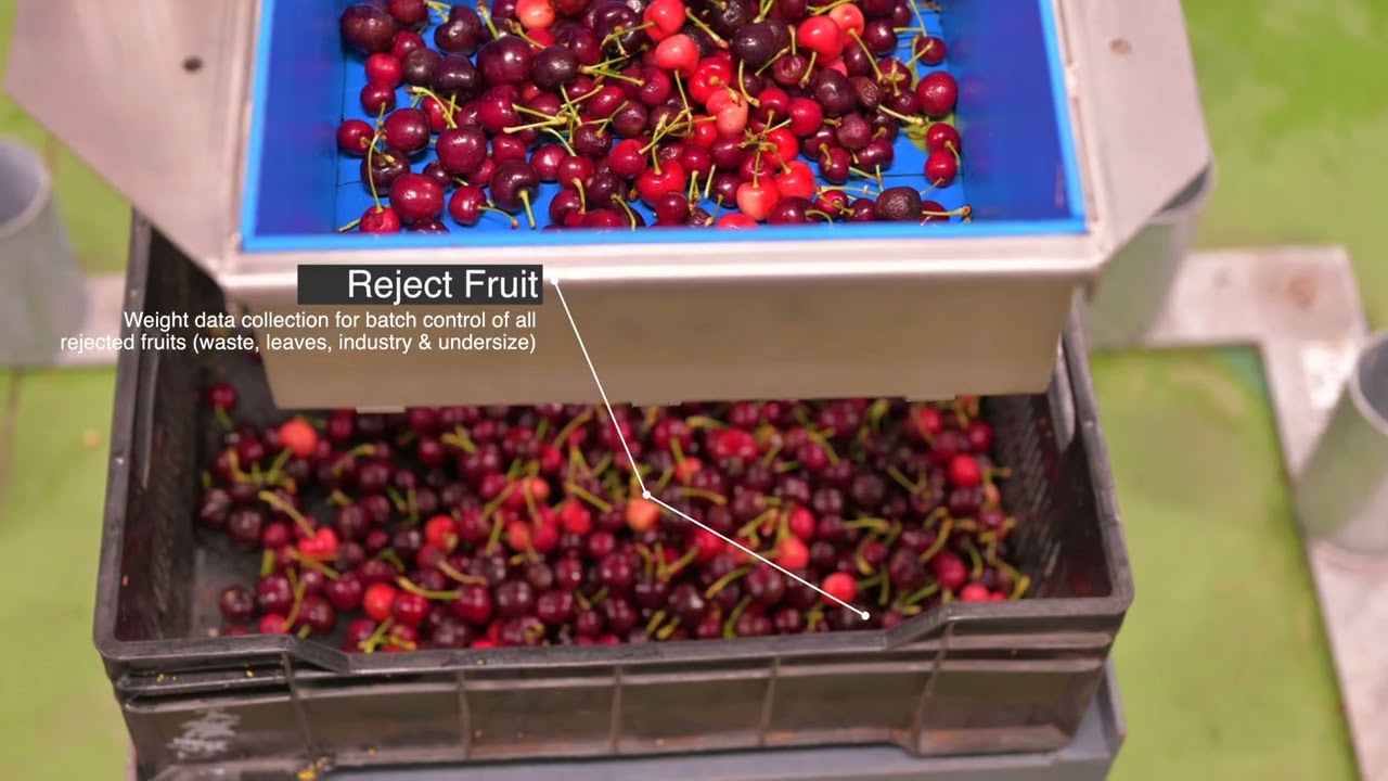 2023 - ZZ2 (SOUTH AFRICA) - Cherryway 4  - Cherry Line