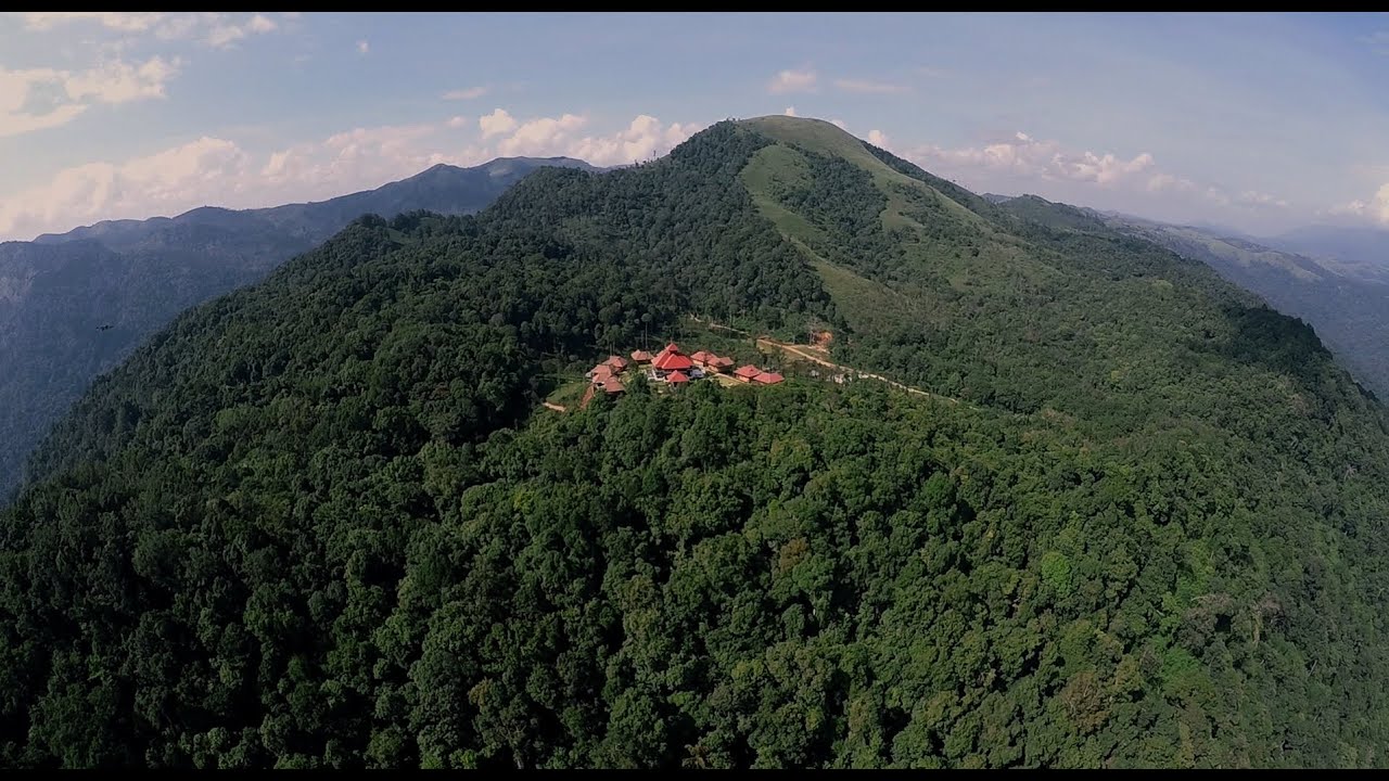 WILD PLANET - Luxury Jungle Resort- Longer Version