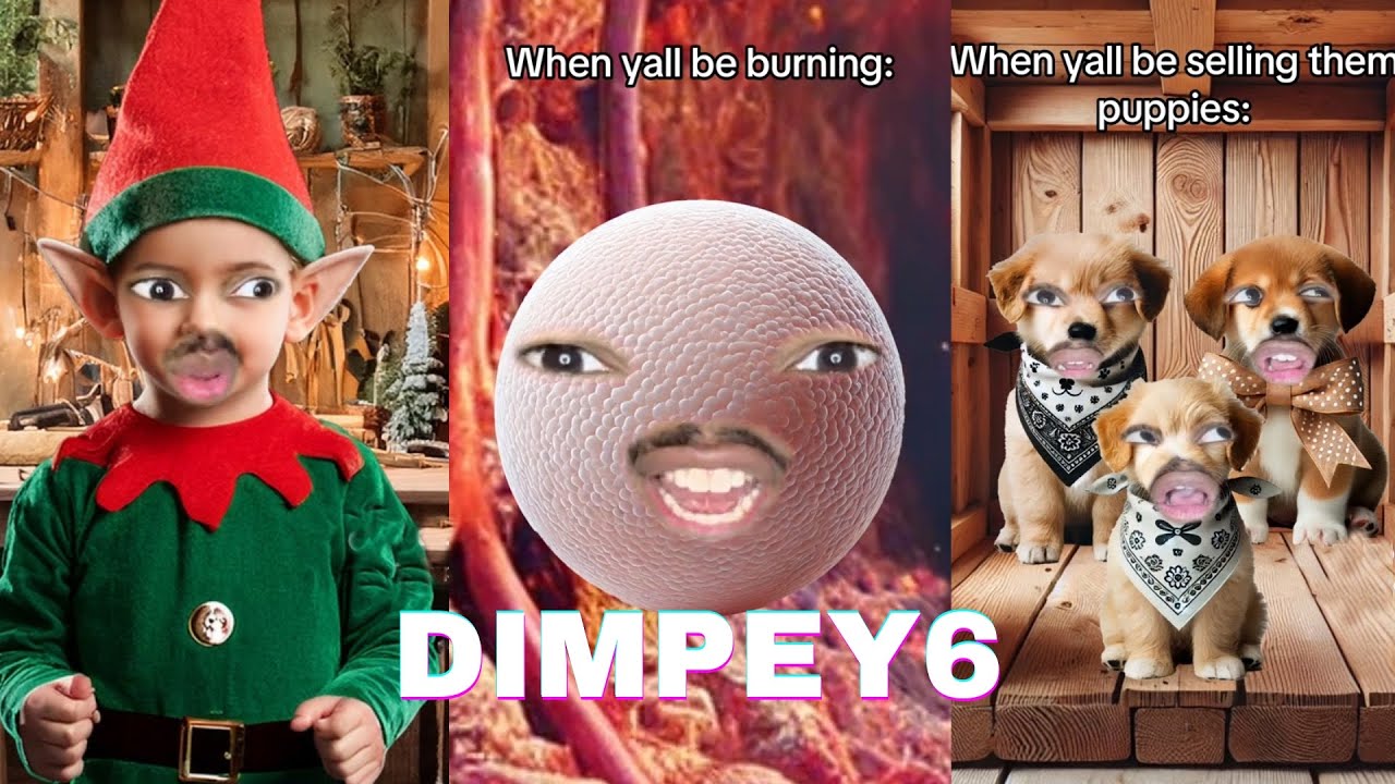 *1 Hour* Best Dimpey6 Funny TikTok Videos | Dimpey6 Shorts Videos 2025 - Shorts Comps