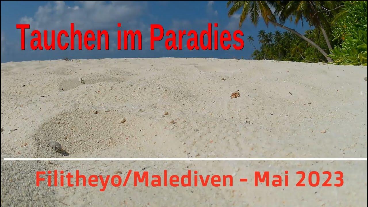 Tauchurlaub im FILITHEYO ISLAND RESORT auf den Malediven - Mai 2023