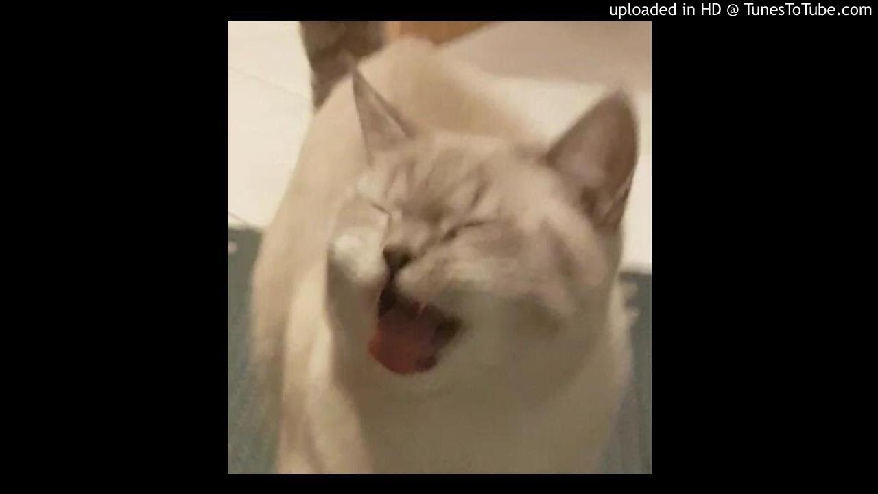 [free] Lil Boom x Omae wa mou type beat (prod. okthxbb)