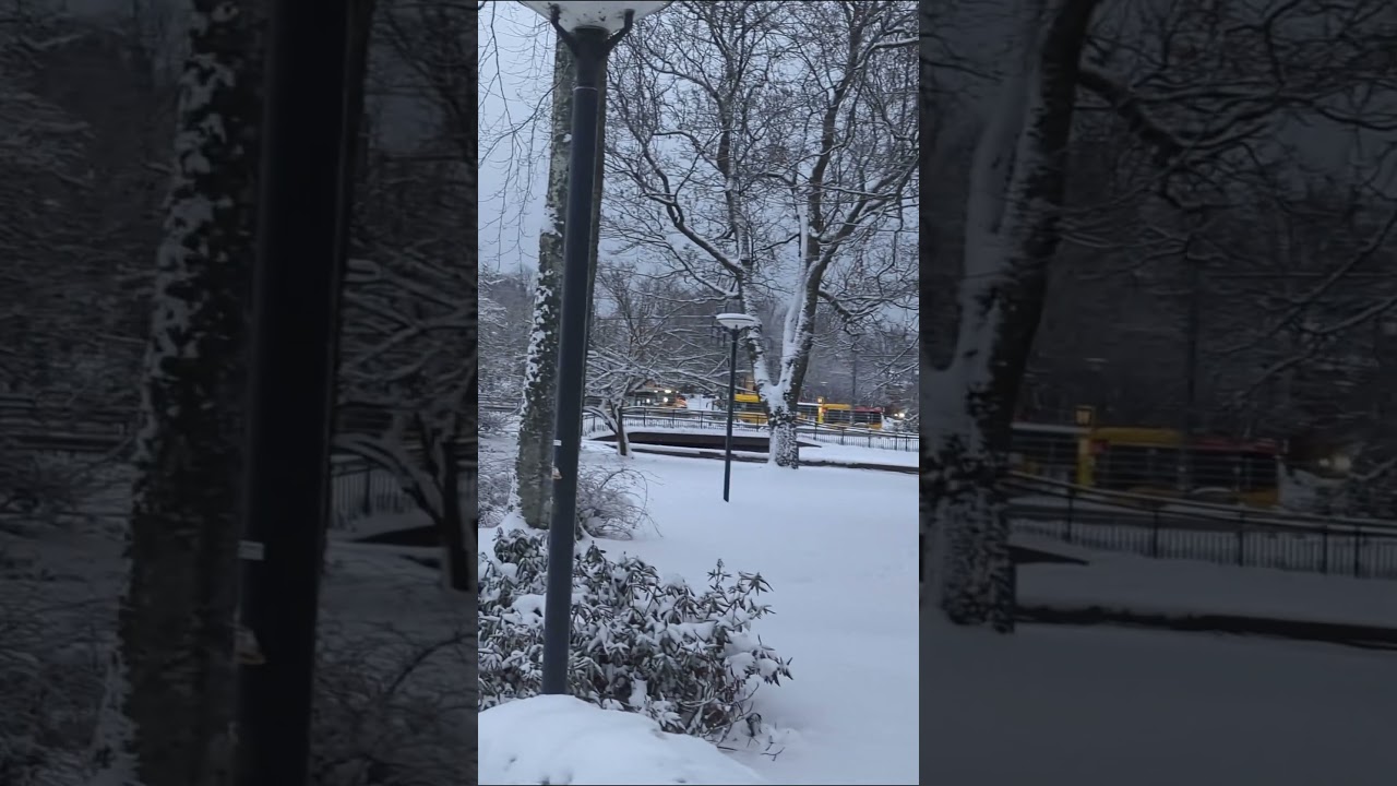 Snowy Walk | Kalmar