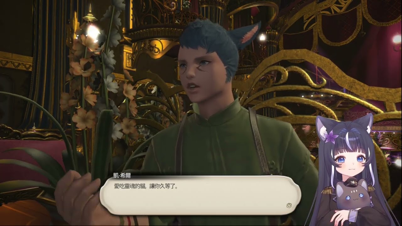 1/22嗜魂貓練舞者 (Part 2/2)