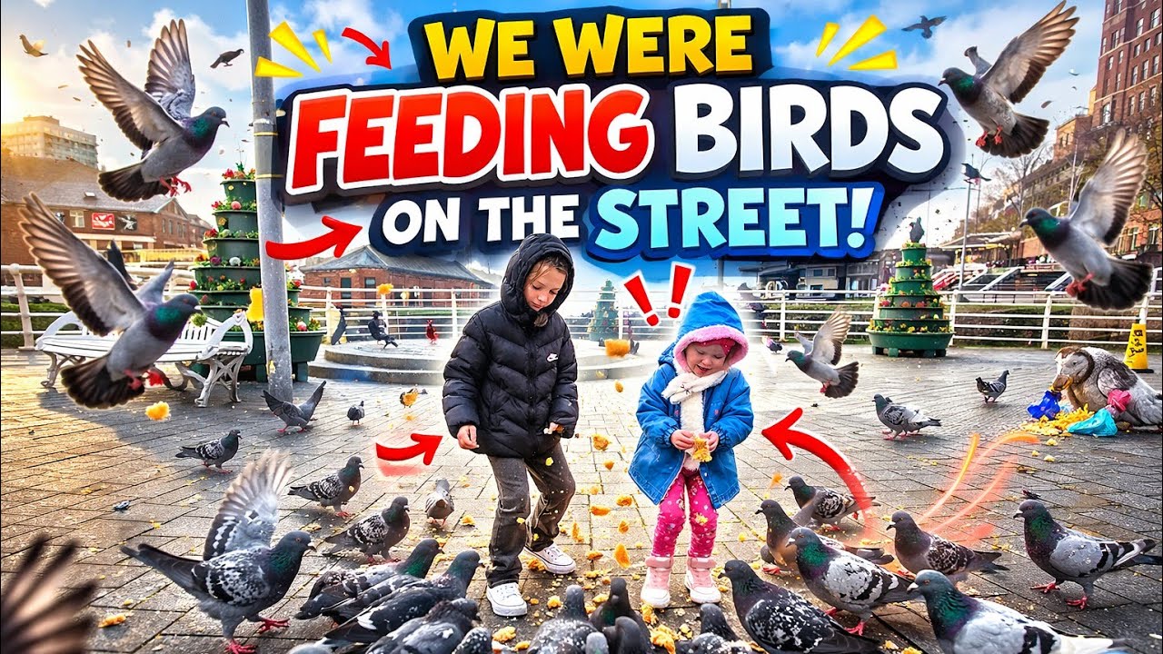 👉 Feeding Birds in the City 🐦 Fun Family Day! 