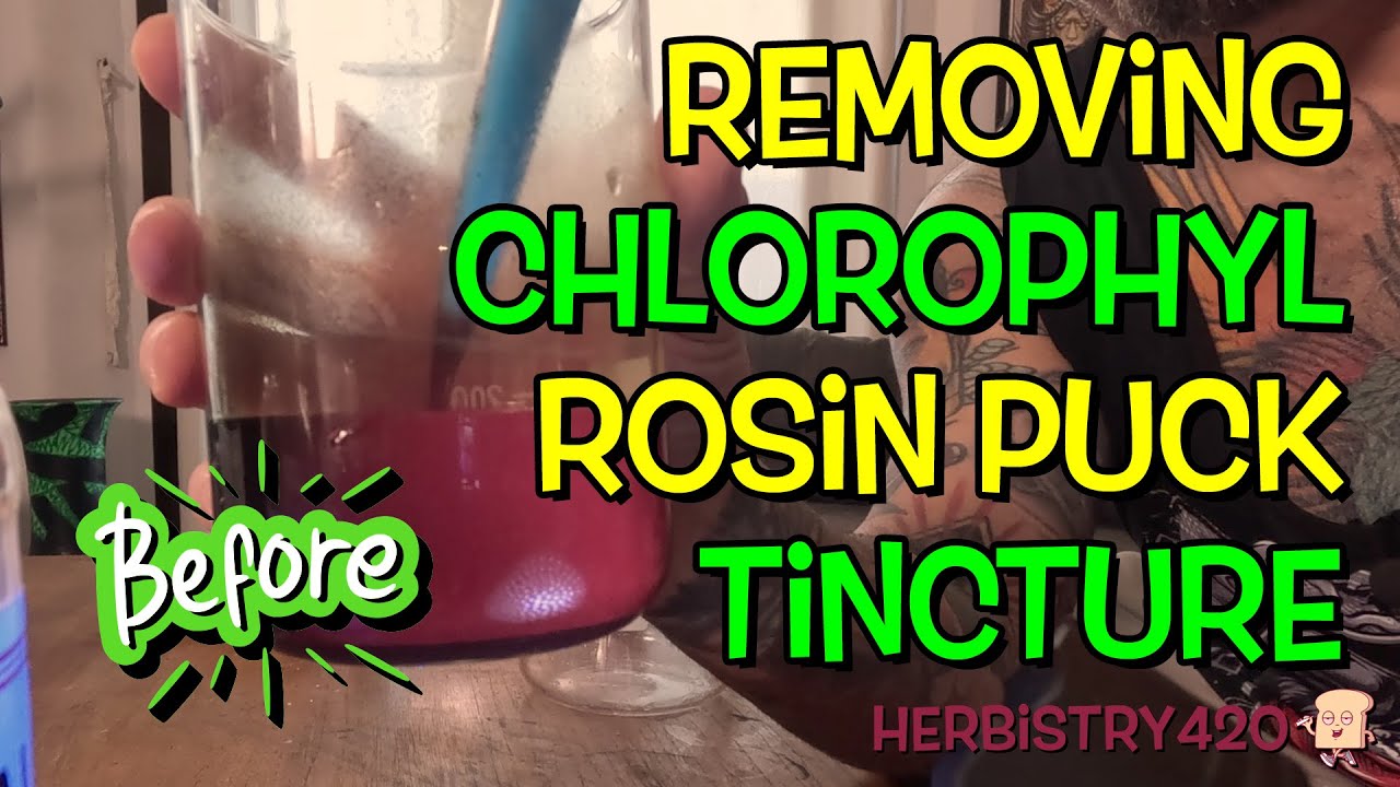 I Removed ALL the Chlorophyll from My Tincture&hellip; The Result BLEW My Mind 🤯