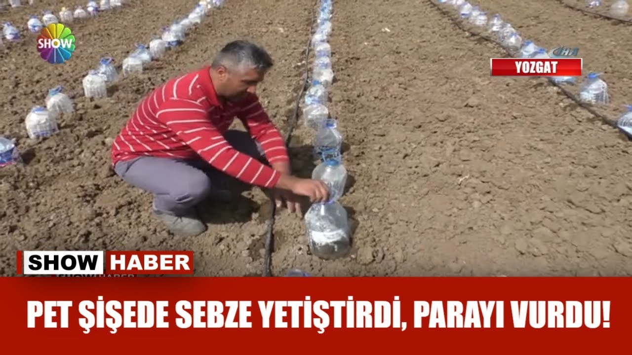 Pet şişede sebze yetiştirdi, parayı vurdu!