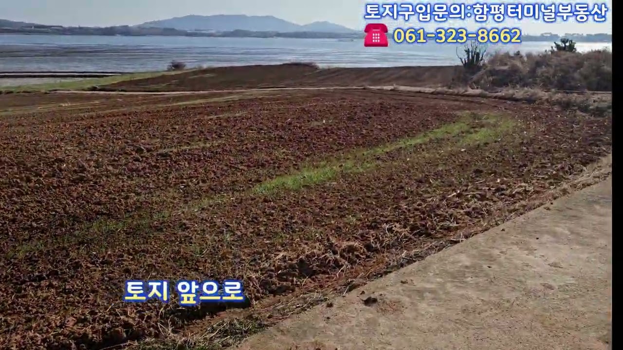 전라남도 함평군 손불면 석창리 바다 풍경 토지 매매합니다.