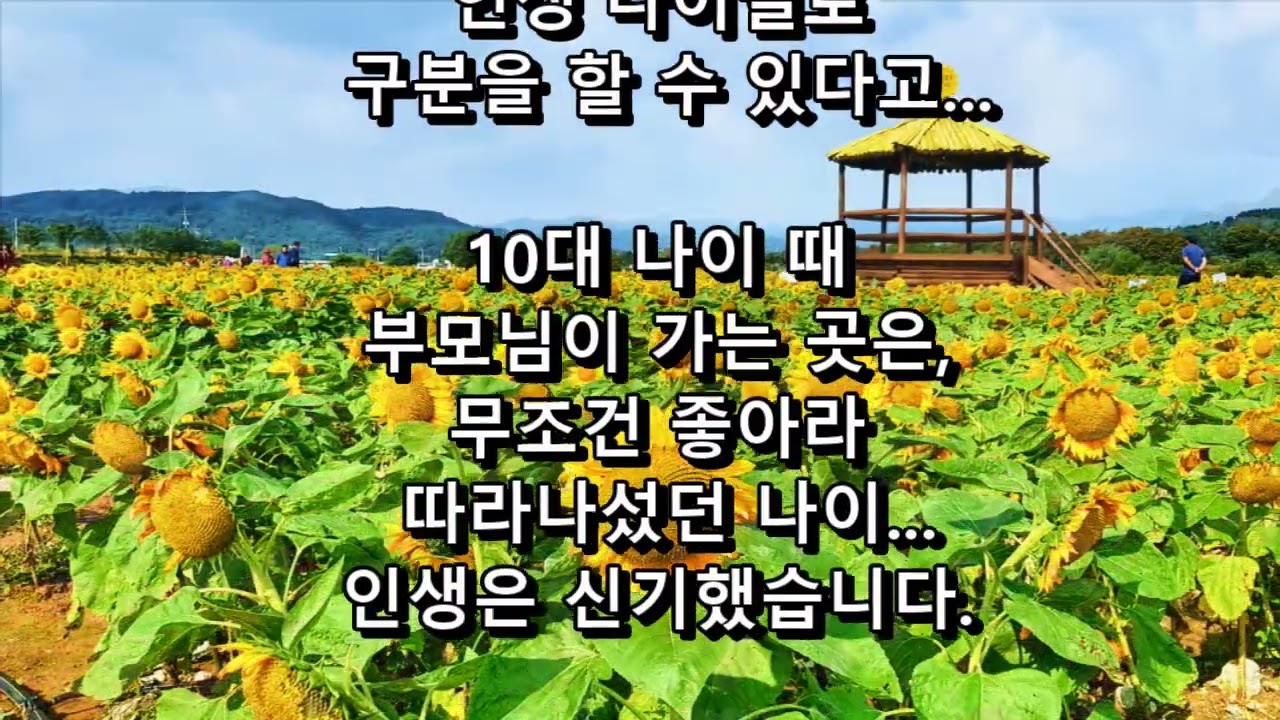 인생(人生)! 두번은 살지 못한다