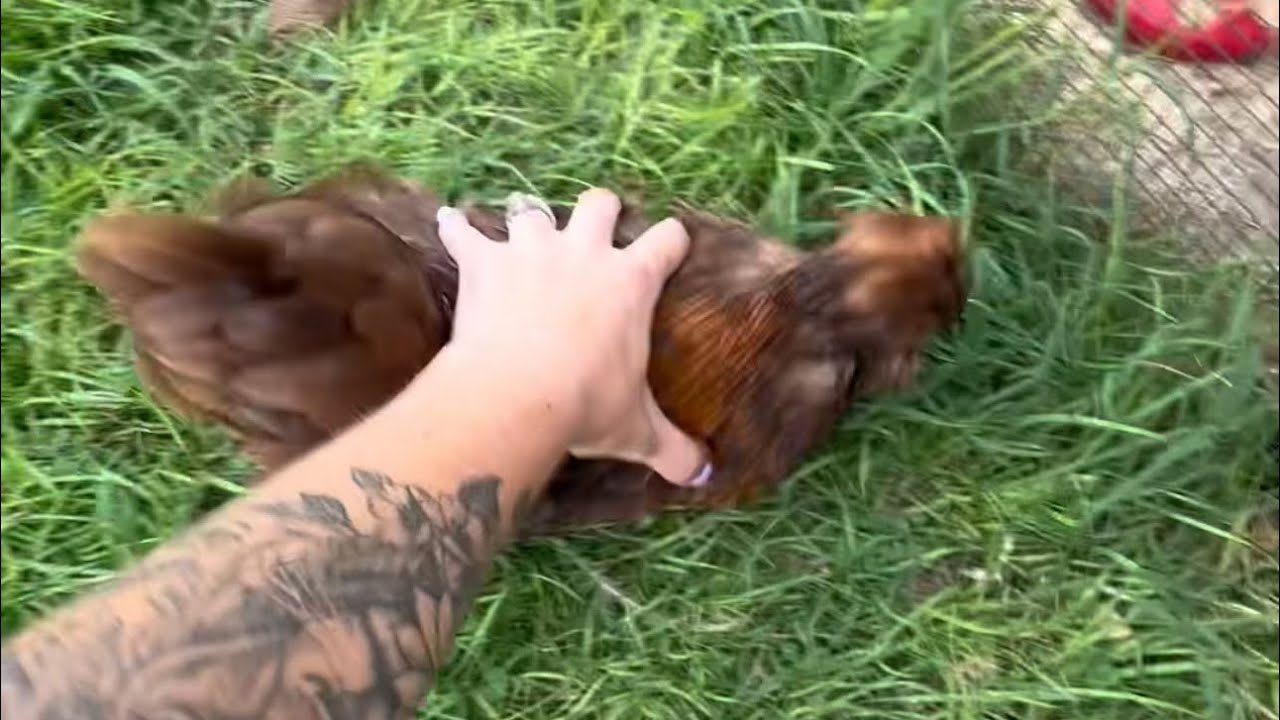 Something happened and I CAN’T be straight about it 😱