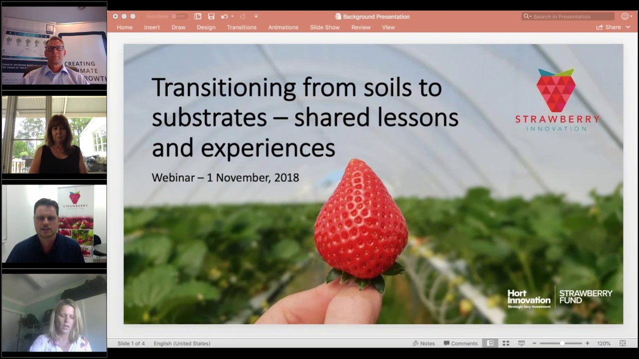 Transitioning from soils to substrates in strawberry production - Webinar recording
