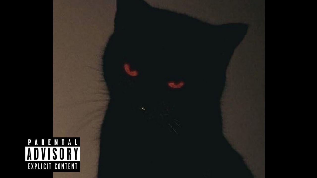 [ FREE ] Nemzzz X Hood Trap Type Beat 