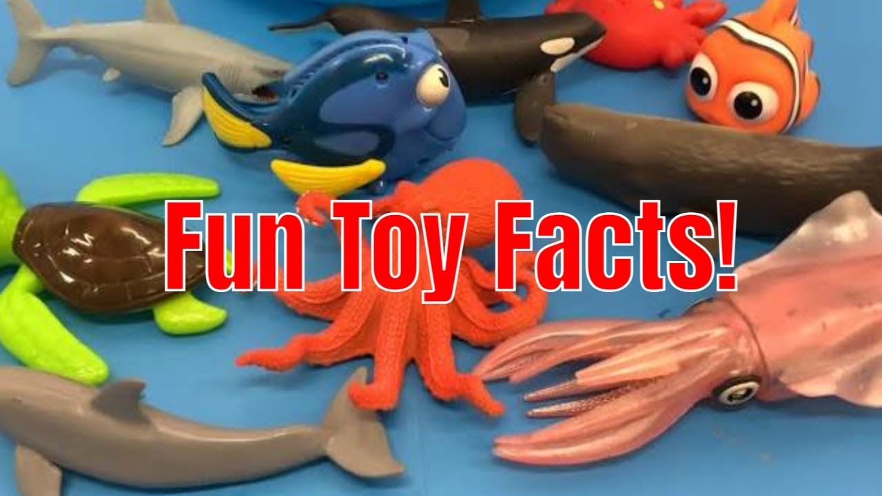 Ocean Toys & Fun Facts for Kids!