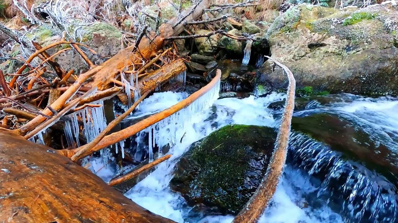 Frozen Stream in Snowy Forest | Winter Nature Sounds for Sleep