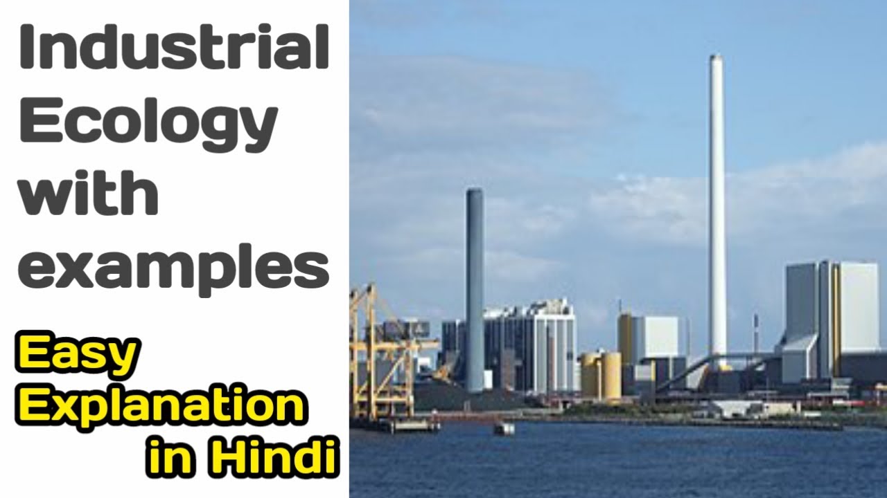 Industrial Ecology with examples | Goals and Objectives of industrial ecology | for BE |