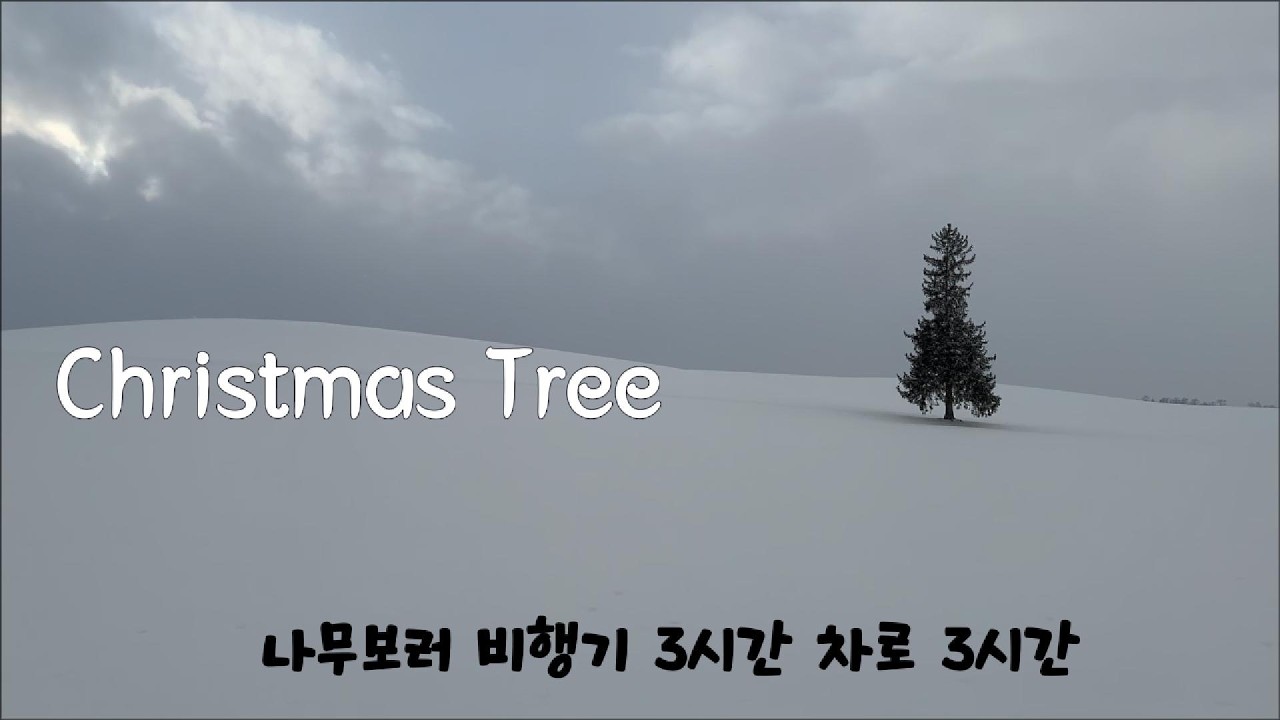삿포로 여행은 이정도면 되었다