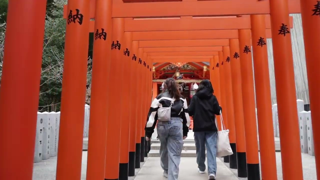 Walking through Ikuta shrine, Kobe
