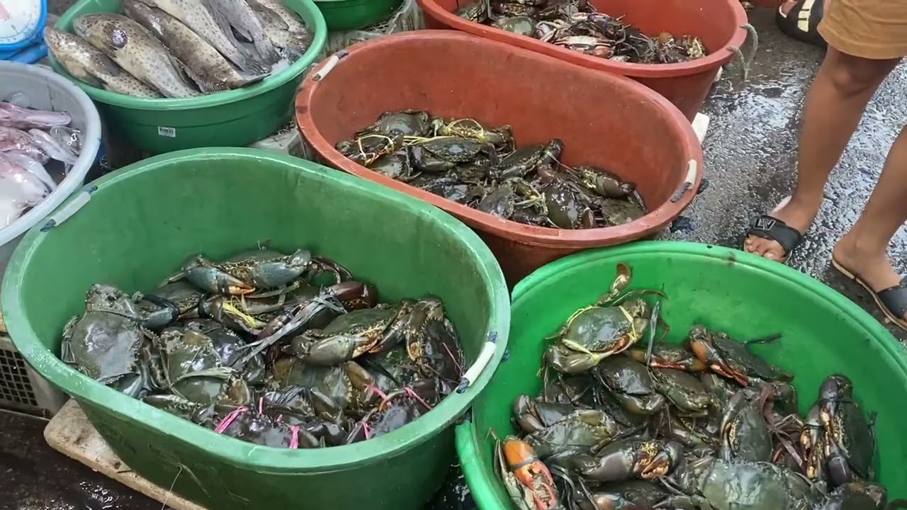 Buying Fresh Seafood for New Year ♥️