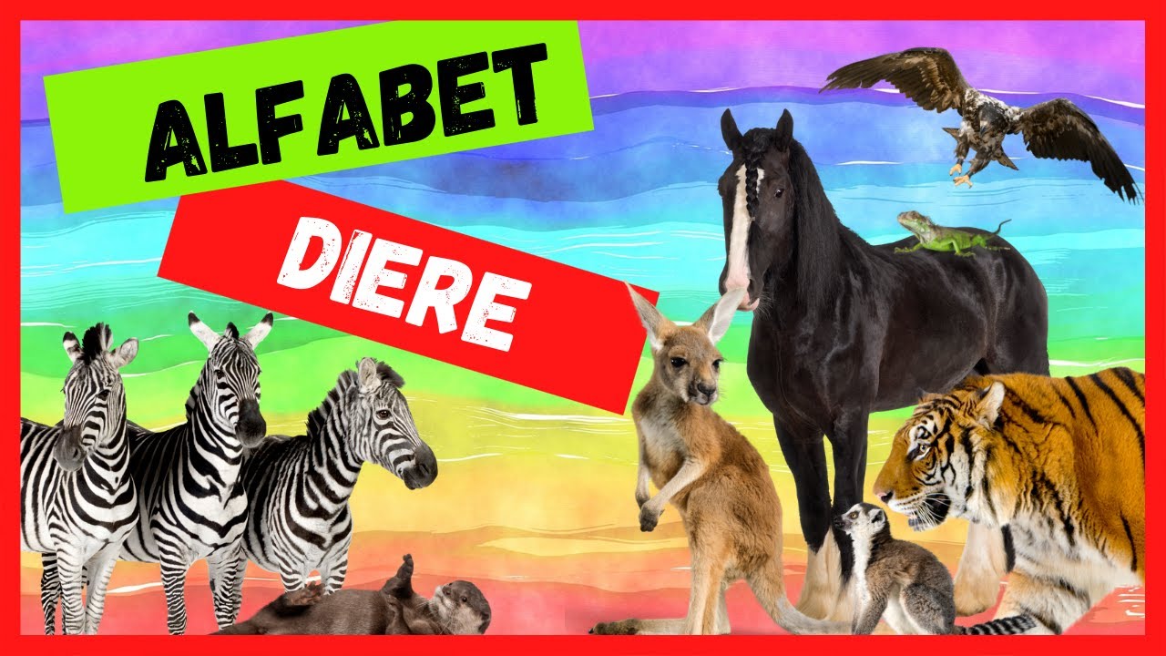 Afrikaanse kinder Video - Alfabet Diere #alfabet #afrikaans #leerafrikaans