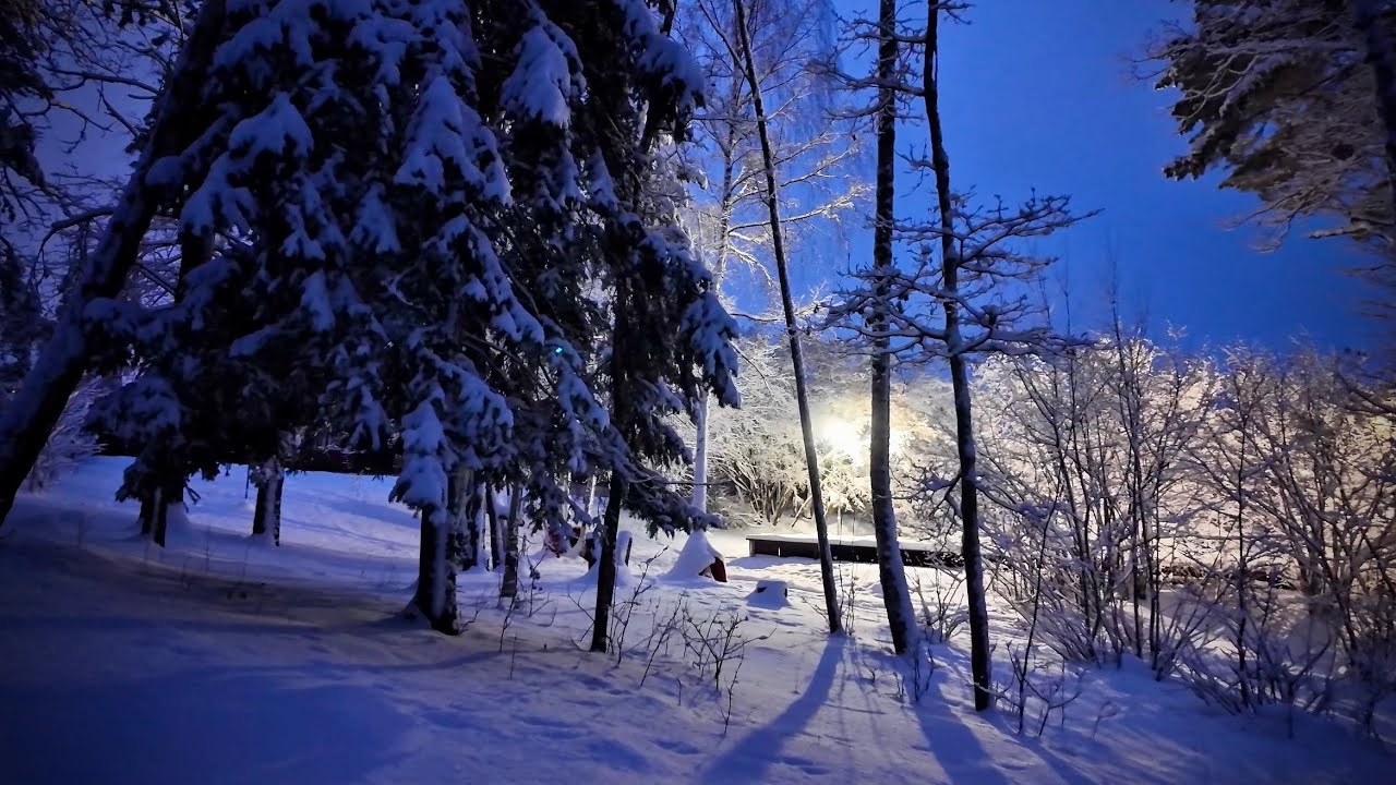 Snowy Night Walk Near Stockholm 🇸🇪❄️ | Silent Forest, Cozy Streets & Winter Calm (4K)